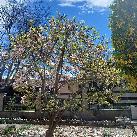 Apartman One Bedroom Flat With Garden And Barbeque *