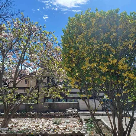 One Bedroom Flat With Garden And Barbeque Apartment *