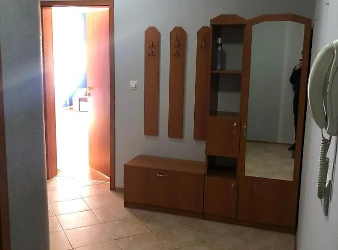 One Bedroom Flat With Garden And Barbeque بانسكو