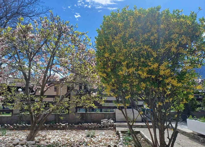 One Bedroom Flat With Garden And Barbeque شقة *