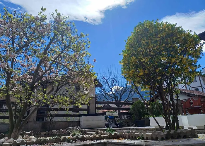 One Bedroom Flat With Garden And Barbeque Appartamento Bansko