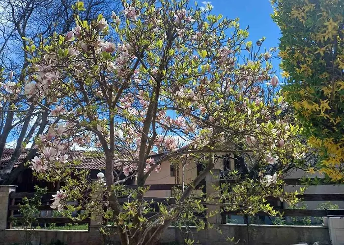 Appartamento One Bedroom Flat With Garden And Barbeque *